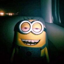 Пин Пиныч, г. Иркутск