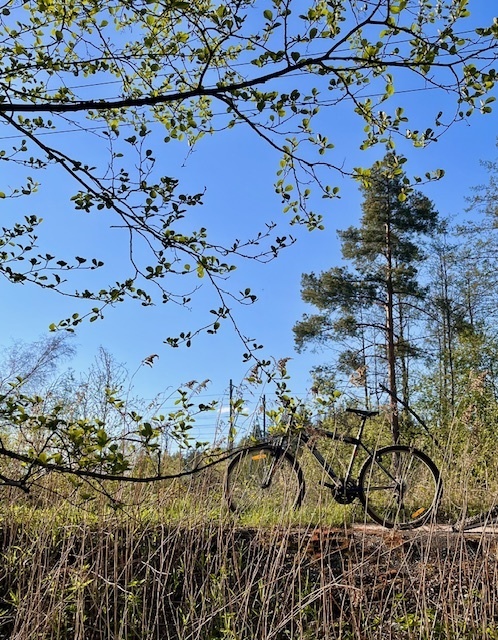 В Госдуме предложили ввести новое понятие "самопутешественник". Кто это и зачем нужно?