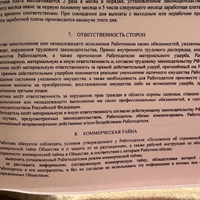 IMG_3777.jpeg
