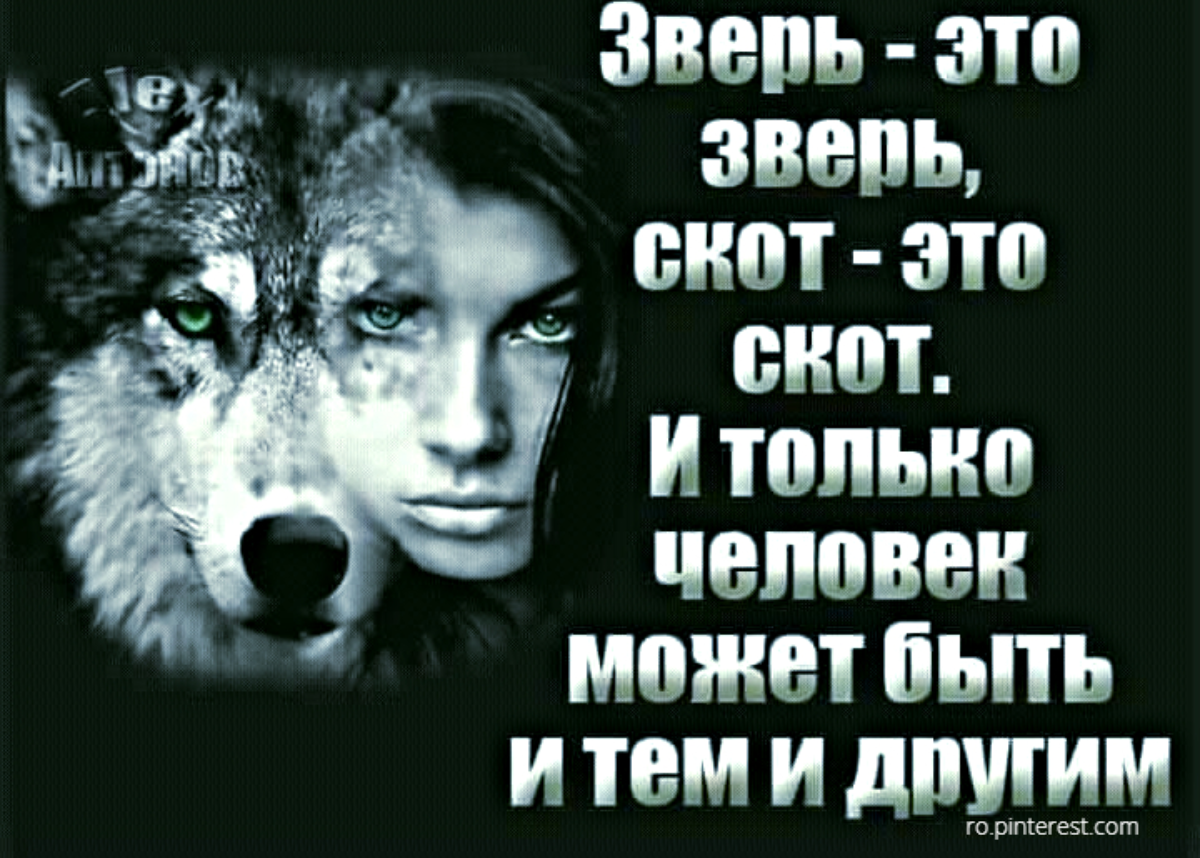 Разумный человек животное собака