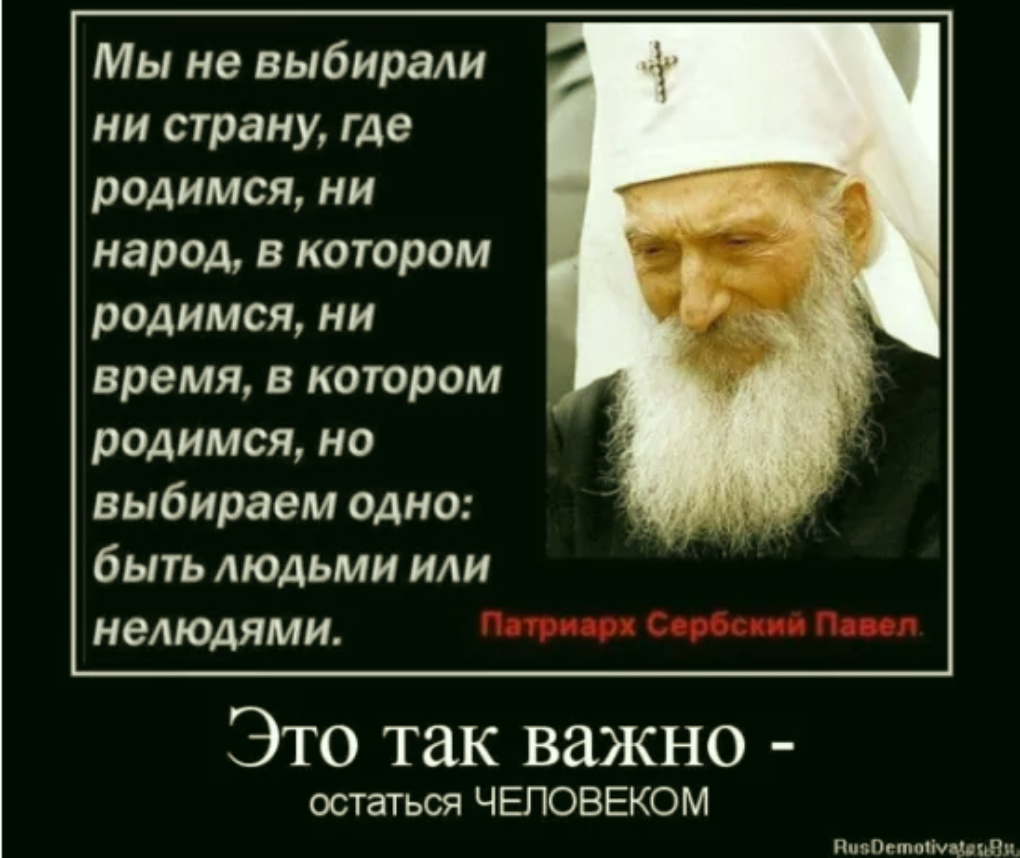 Разумный человек животное собака