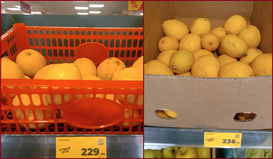 Инфляция мая: как изменились цены на овощи и фрукты в «Магните» за месяц