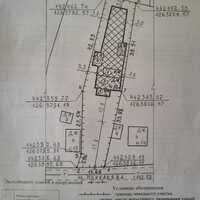 IMG-20250616-WA0019.jpg