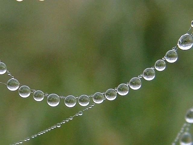 Коллекция боли. Коллекция счастья. Или из чего состоит наша жизнь?