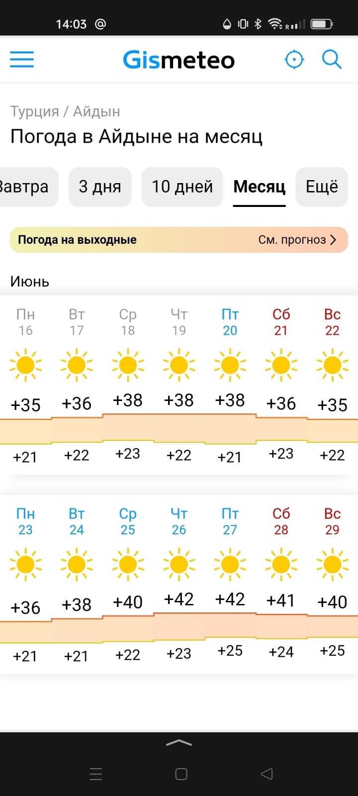Выживание у турецкой свекрови на байрам – 4 день: ушла из дома, скандал и цирк