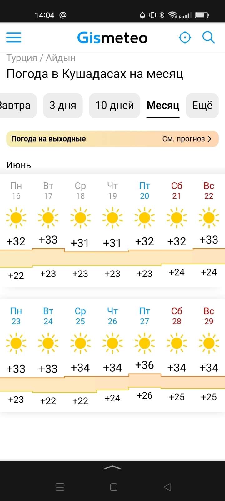 Выживание у турецкой свекрови на байрам – 4 день: ушла из дома, скандал и цирк