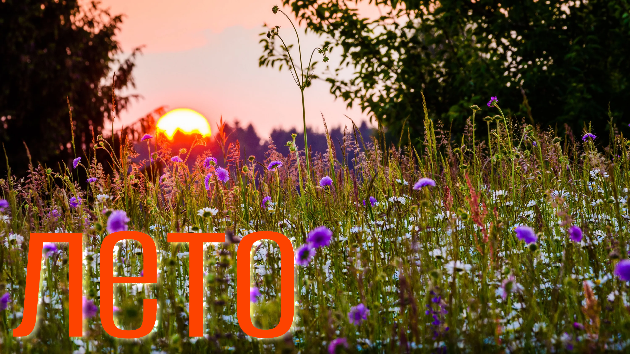 Как не испортить себе отпуск?