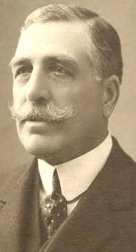 Твой ежедневный друг