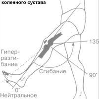 Амплитуда.PNG