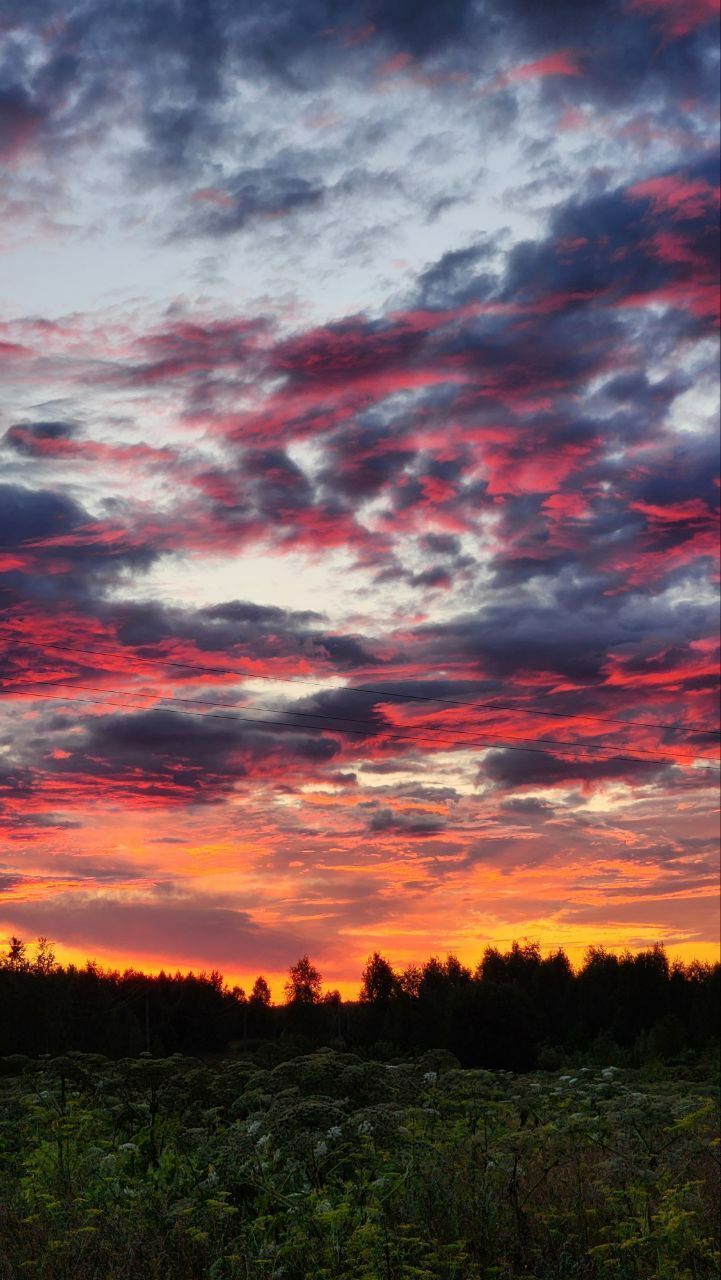 Советы на каждый день №6