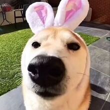 Максим Шерстобитов, г. Оренбург