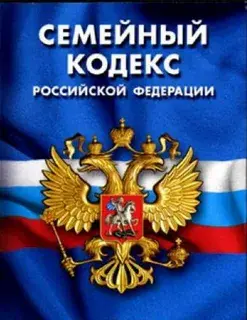 «Я отдал ей все... А она изменила мне. Жизнь рухнула». Как делить ребенка? Случай из практики