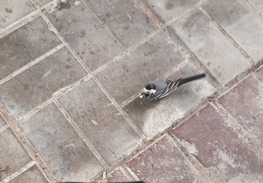 Хорошая прогулка … и неприятная загадка