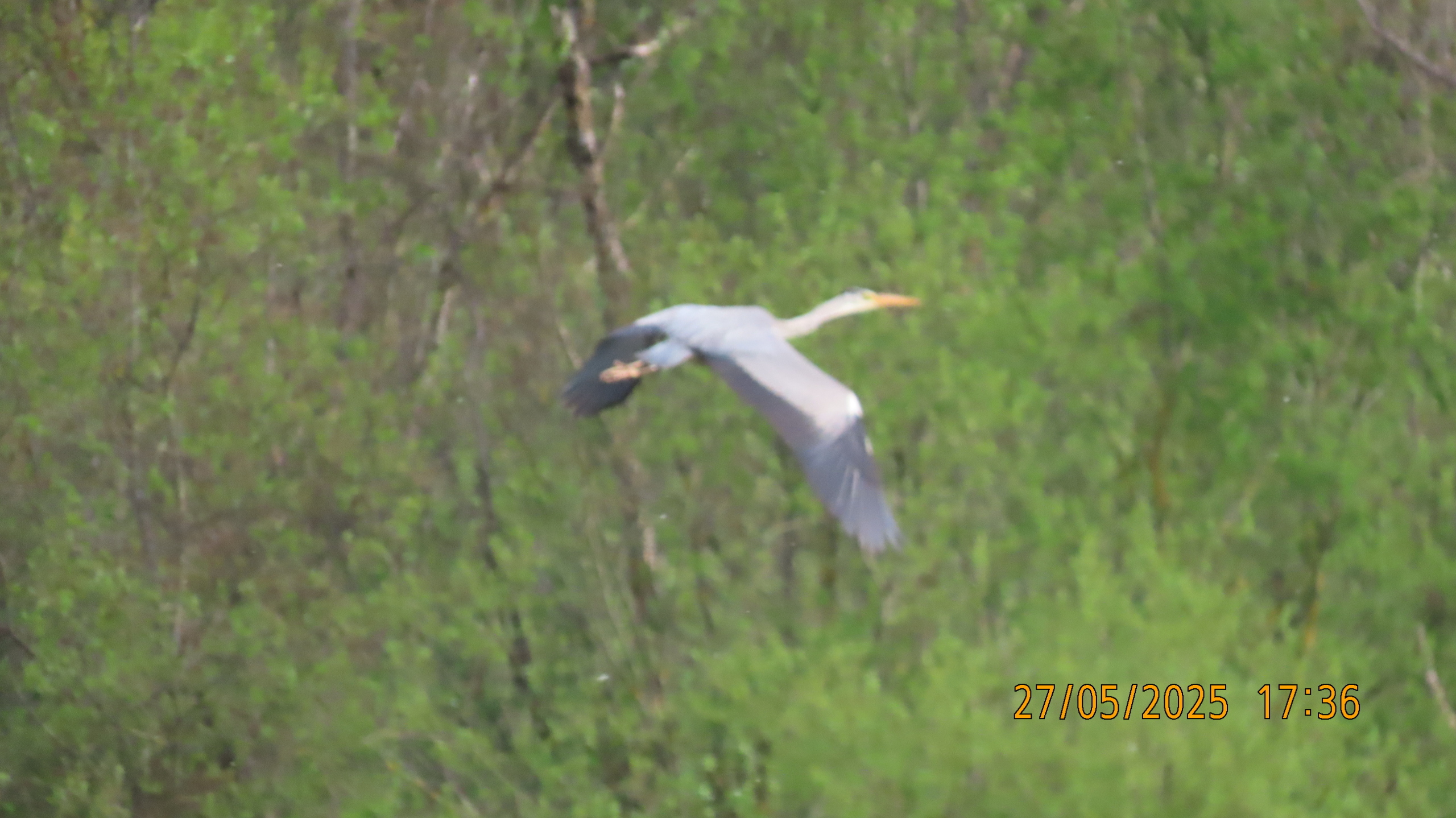 О шарадах и ребусниках.