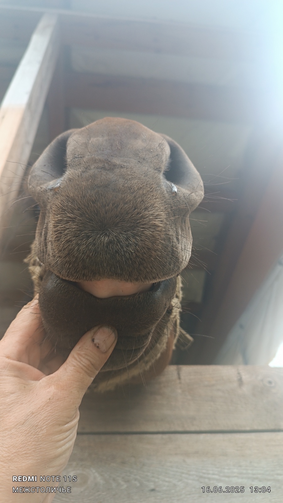 О шарадах и ребусниках.