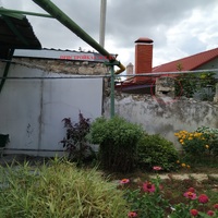 IMG_20190804_162341.jpg