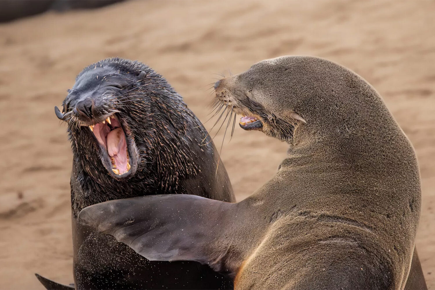 Улыбнись: шутки, анекдоты, смешные истории для поднятия настроения!