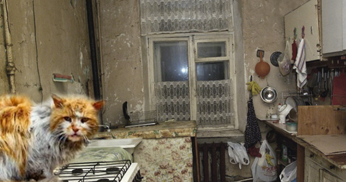 Властям СПб фиолетово, что люди начали ходить на экскурсии не в Эрмитаж, а в коммуналки?!