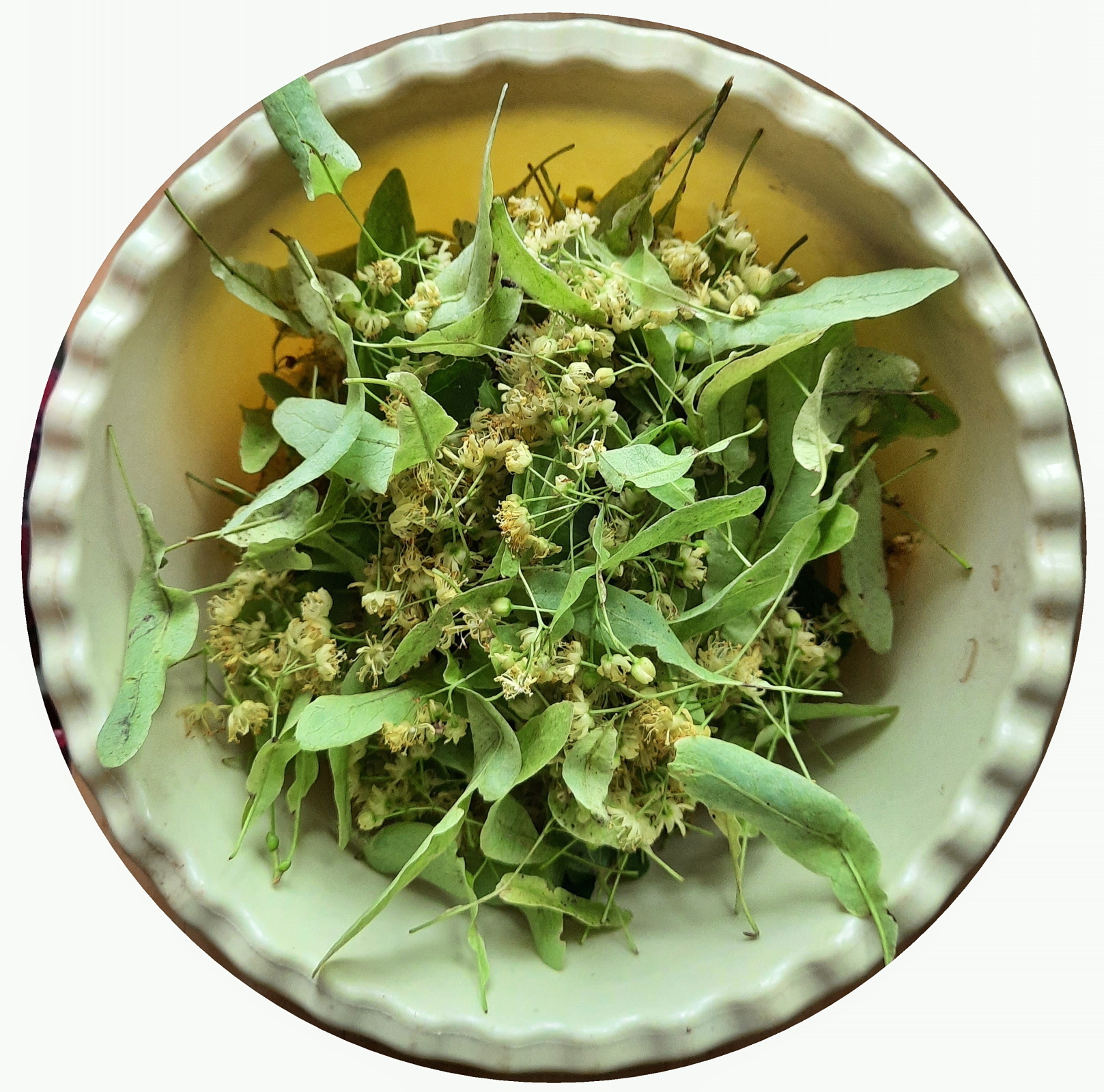 Липа и погода