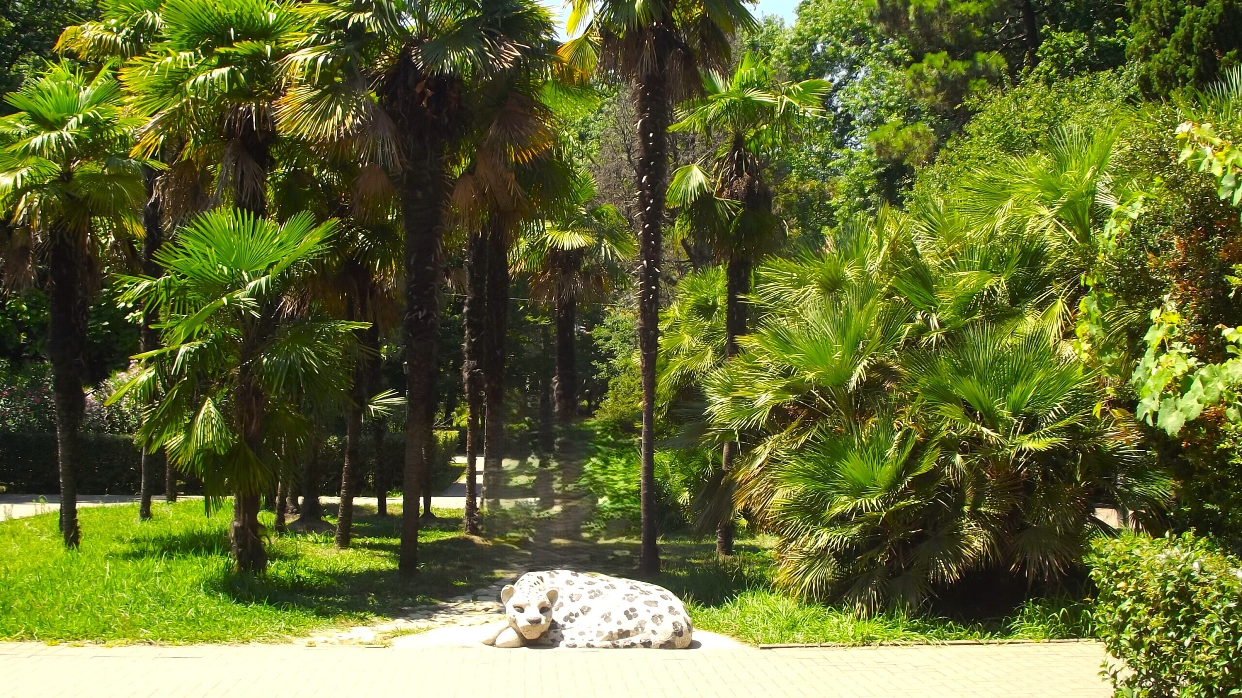 Как выжить во время отдыха? Путь-дорожка
