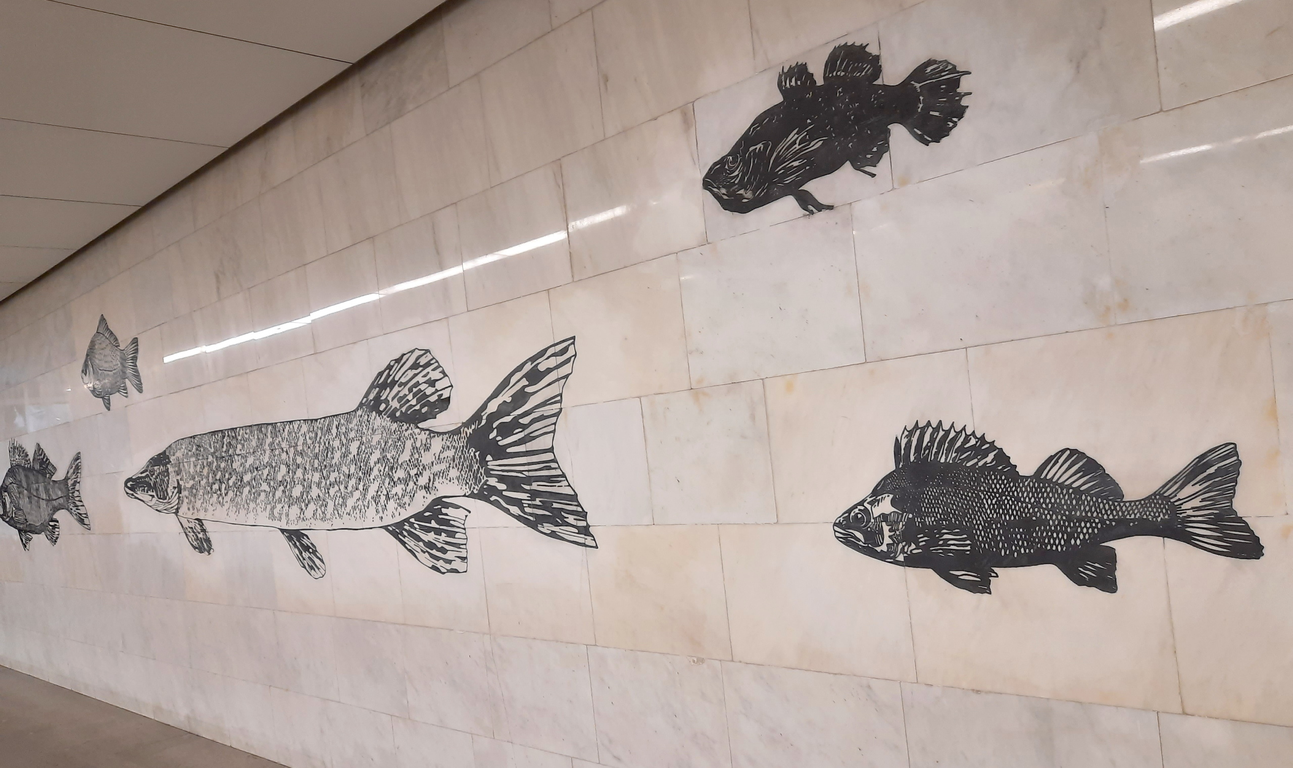 Москва-река и её обитатели в метро