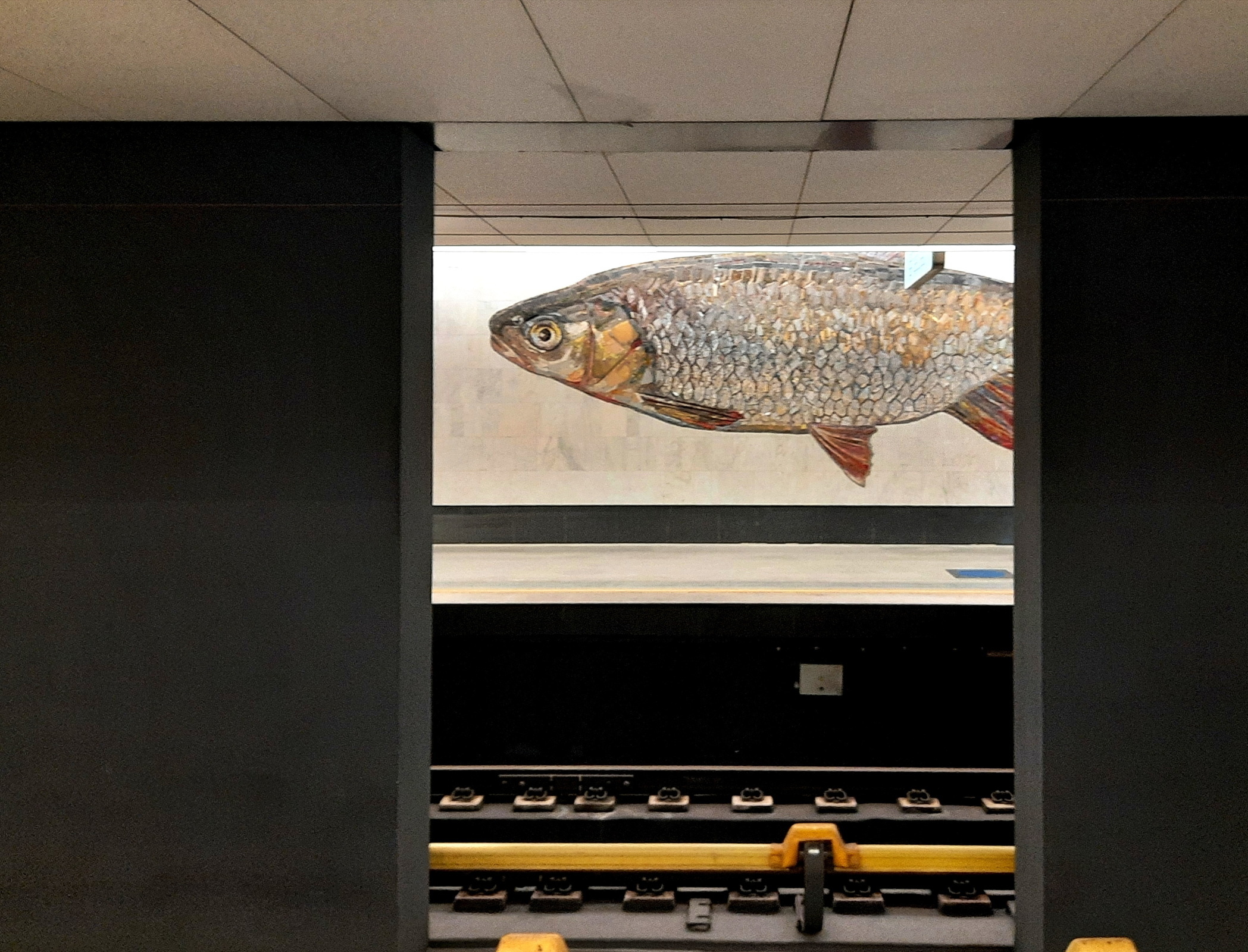 Москва-река и её обитатели в метро