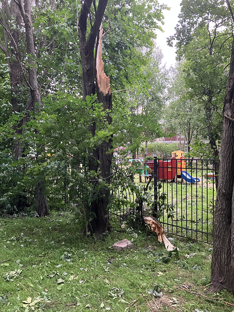 Погодные ужасы Санкт-Петербурга.