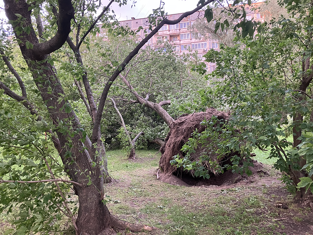 Погодные ужасы Санкт-Петербурга.