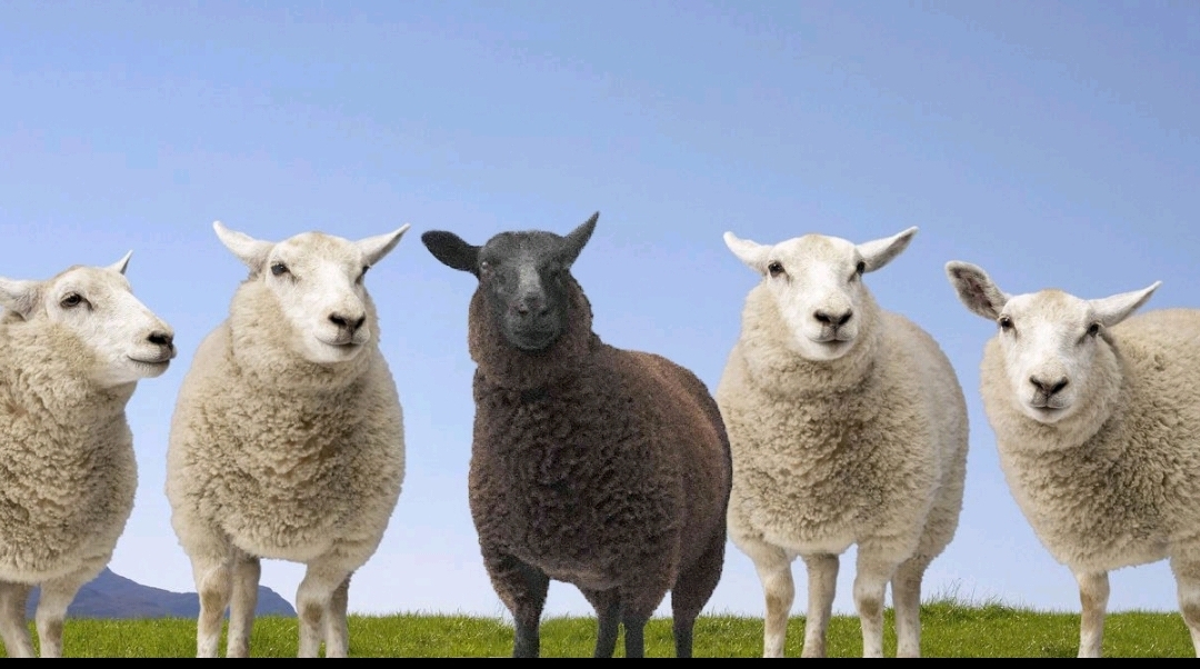 Страх остаться в стороне: как его побороть