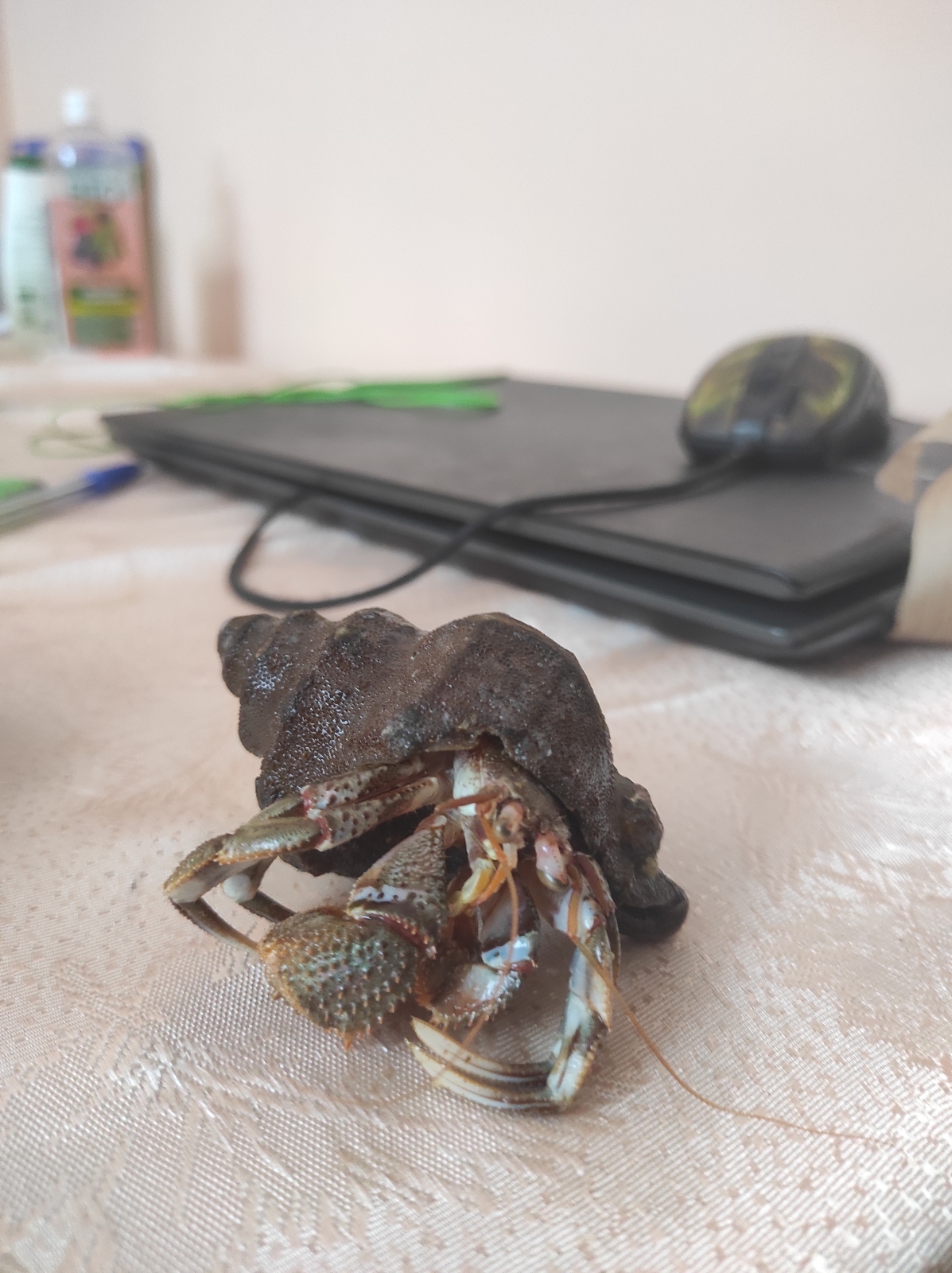 Как я кардинально поменял свою жизнь, из Южно-Сахалинска, в Уссурийск ! Ч.4.