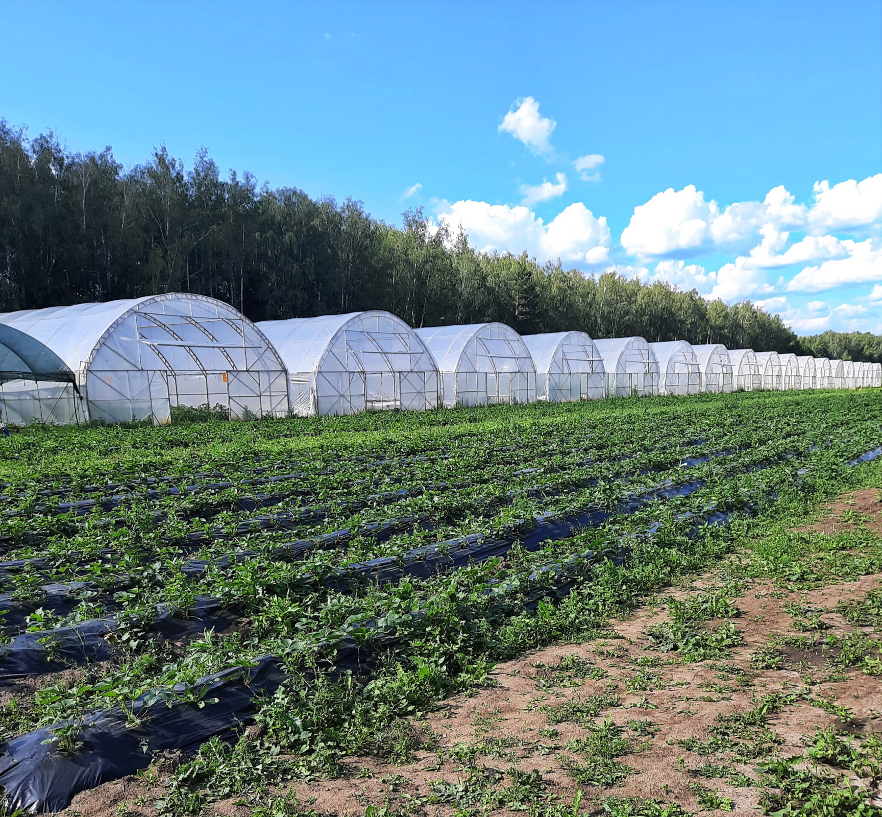 Интересное место по дороге в деревню