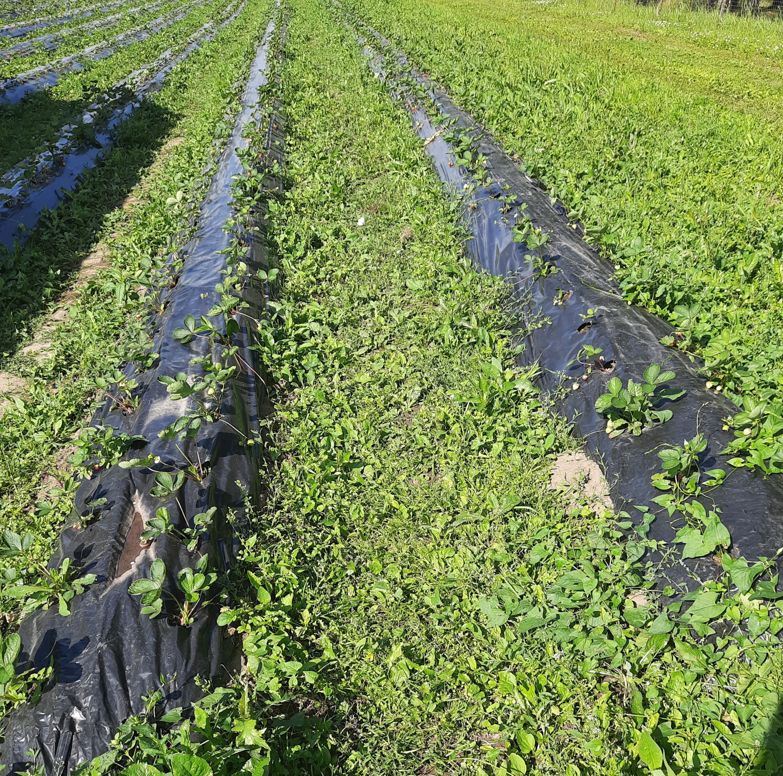 Интересное место по дороге в деревню