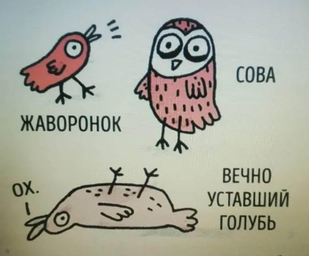 Кто ты по астрологии Джйотиш?🌙☀️