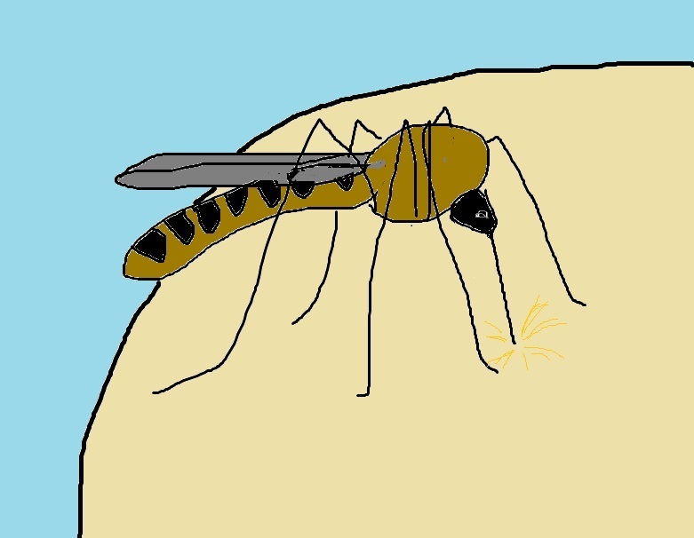 Гвоздика против комаров: специя, от которой кровопийцы бегут как от огня