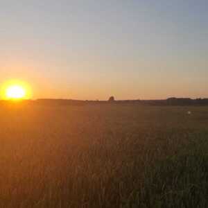 Дурова Анна Игоревна