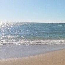 Хельга, г. Краснодар