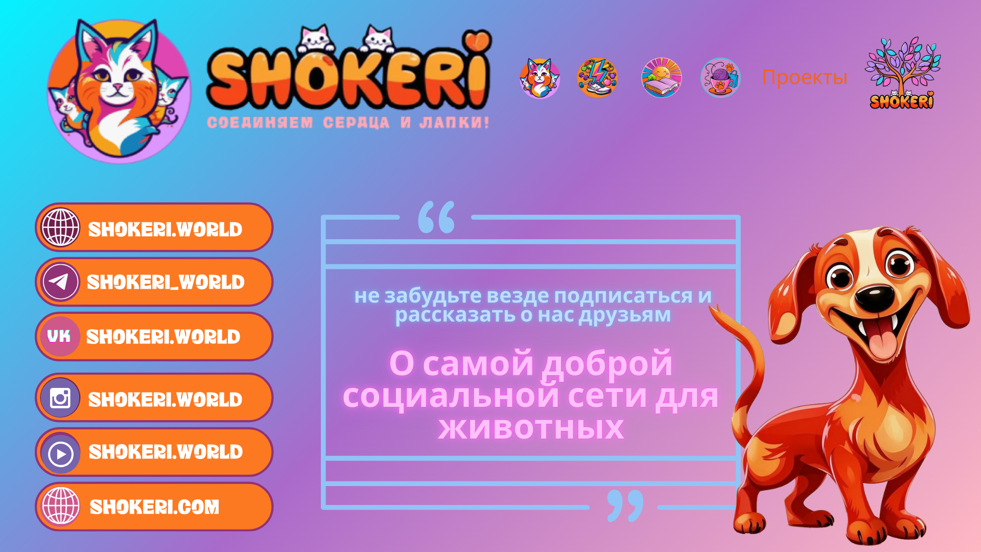 🎯 Как вернуть в жизнь белую полосу: Во что мы верим — то и будет!