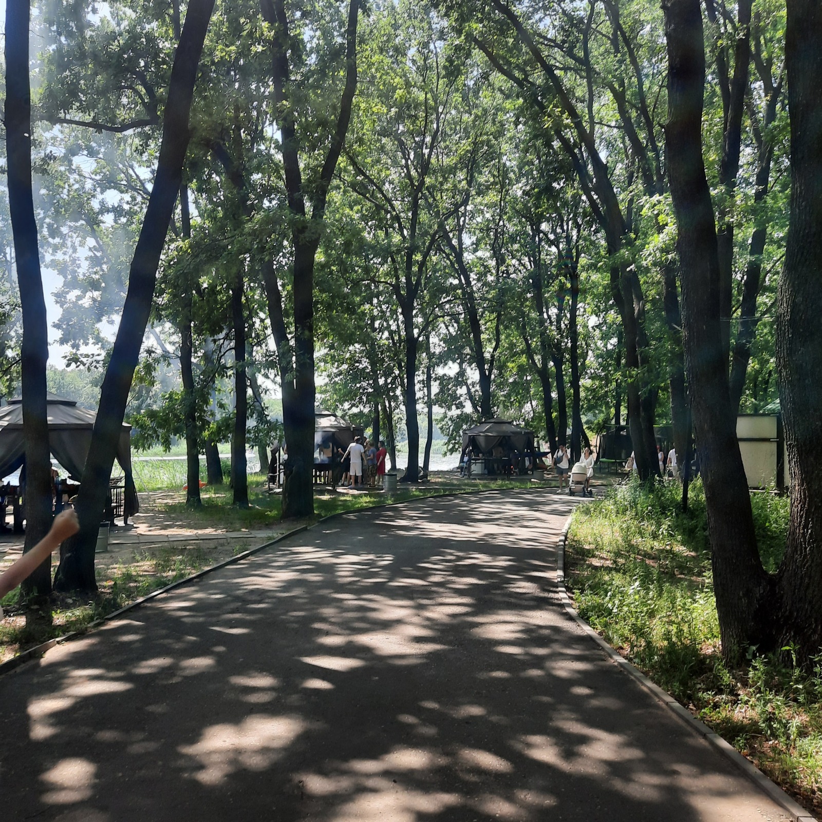 Социальная тема: жара, переполненный транпорт и борьба за место.