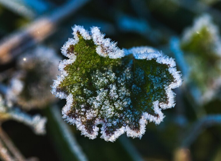 Заморозка результатов ЕГЭ для участников СВО