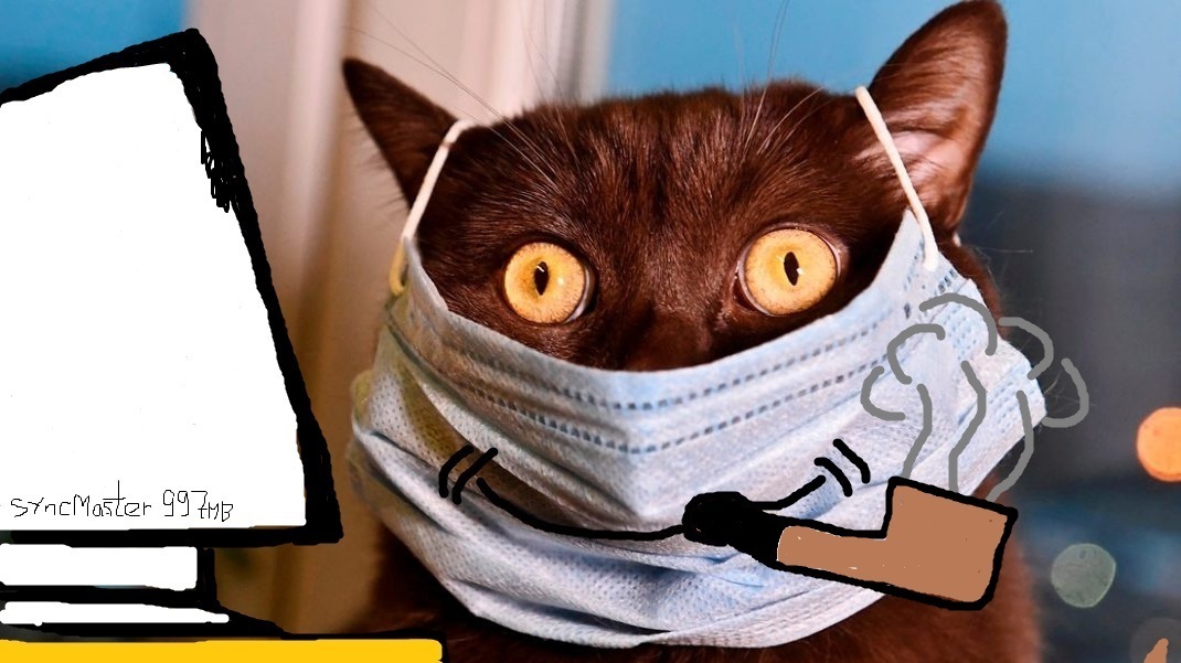 И таки снова прикладное гарпиеводство или как хвостатый с Пернатой историю учили