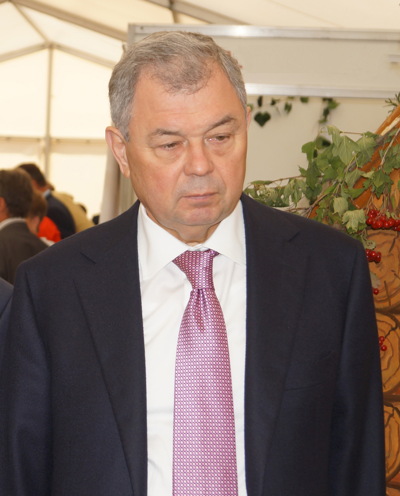 Экономический гений Артамонова: Российский сенатор призвал к сокращению льгот и субсидий