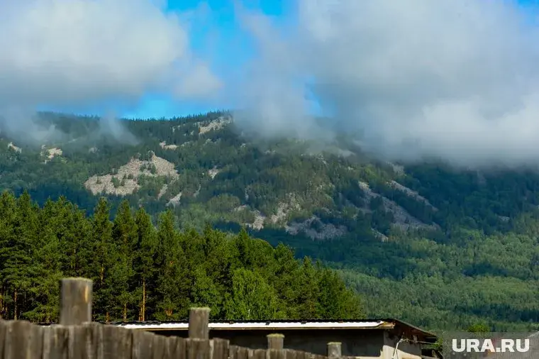 В России созрела самая ядовитая ягода