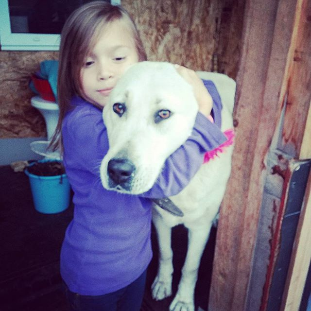 О юбилеях и подарках.