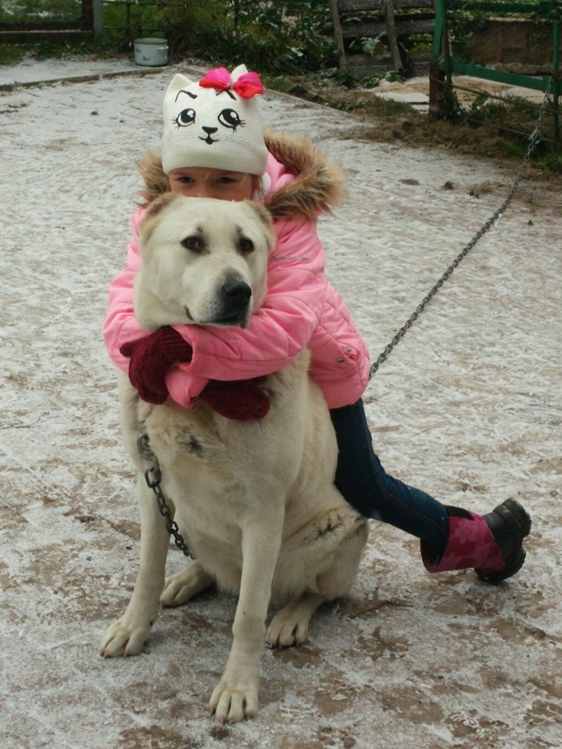 О юбилеях и подарках.