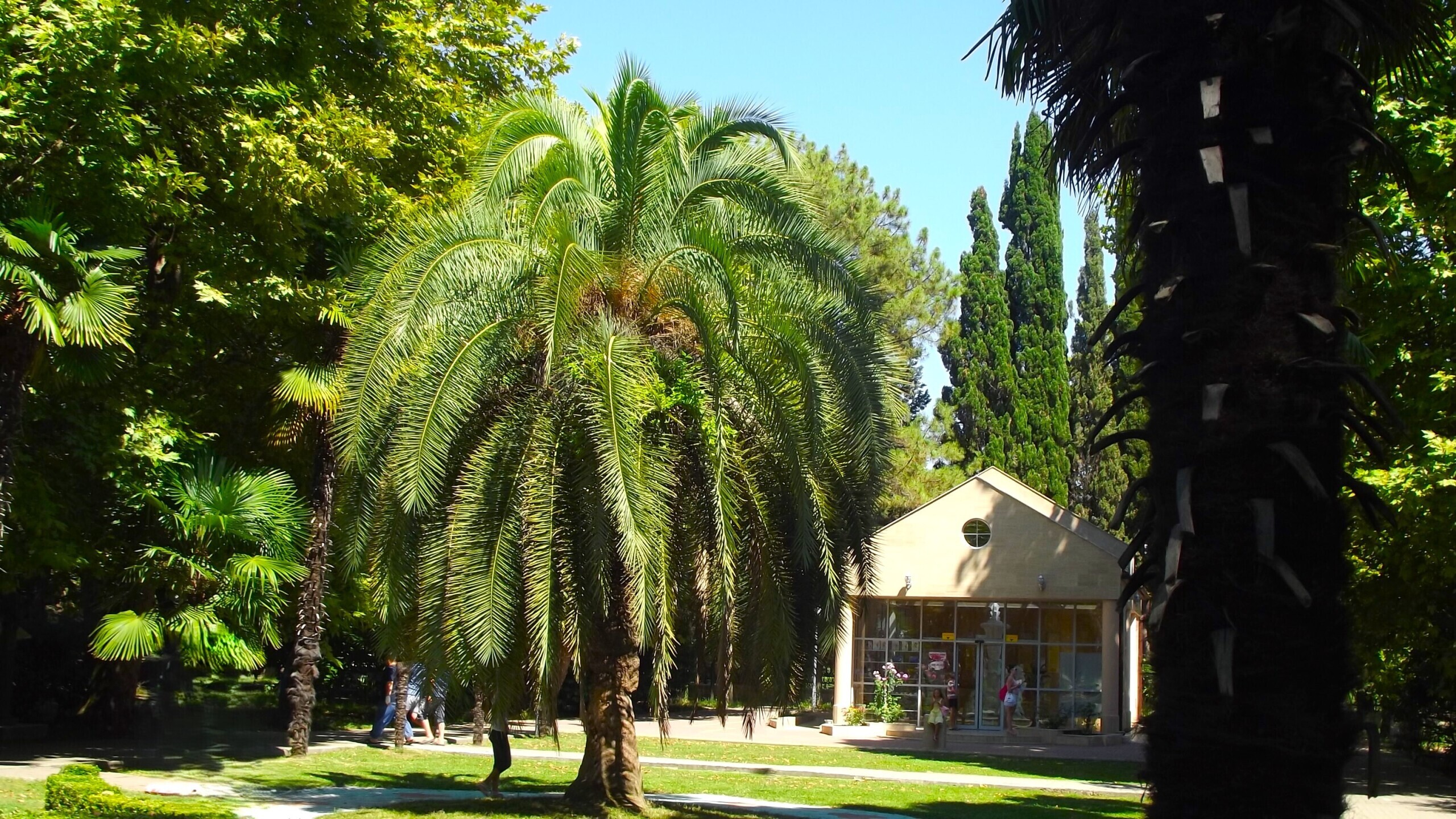 Поездка не для слабонервных – экстремальное возвращение домой
