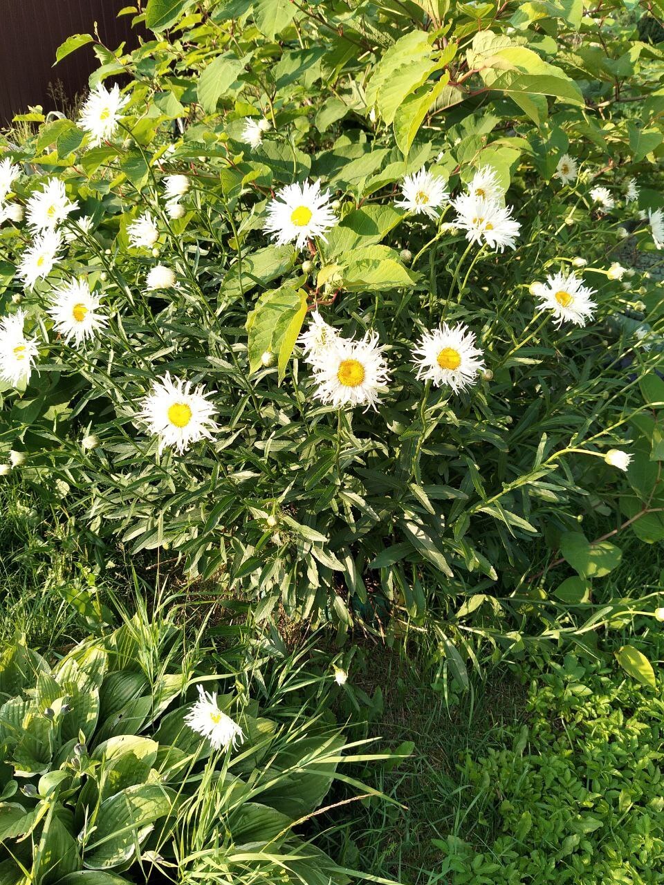 Как быстро успокоить себя при волнении и тревожности: план действий