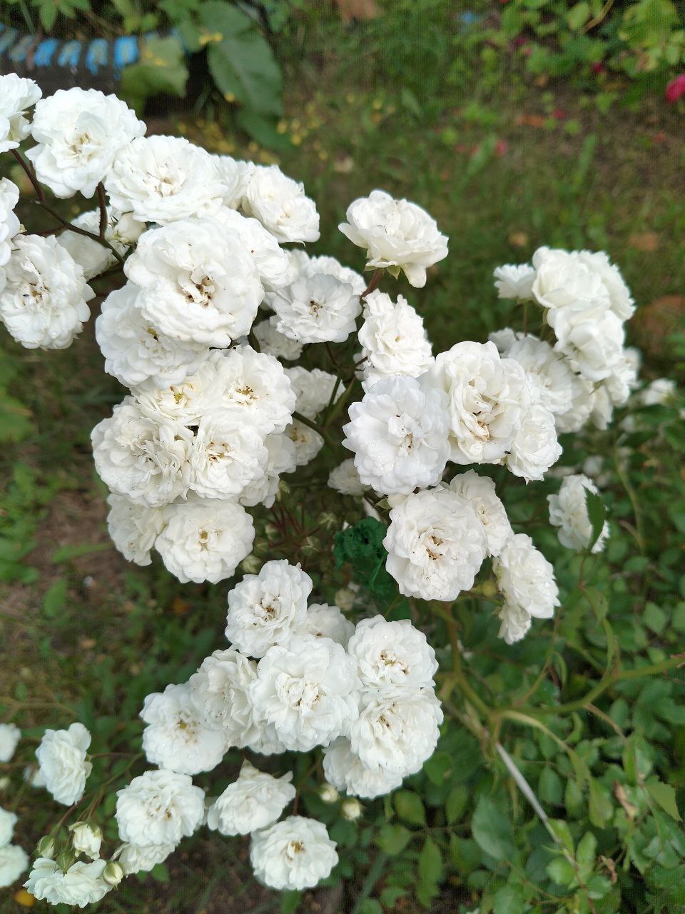 Десять последствий недостатка родительского внимания и их влияние на взрослую жизнь.