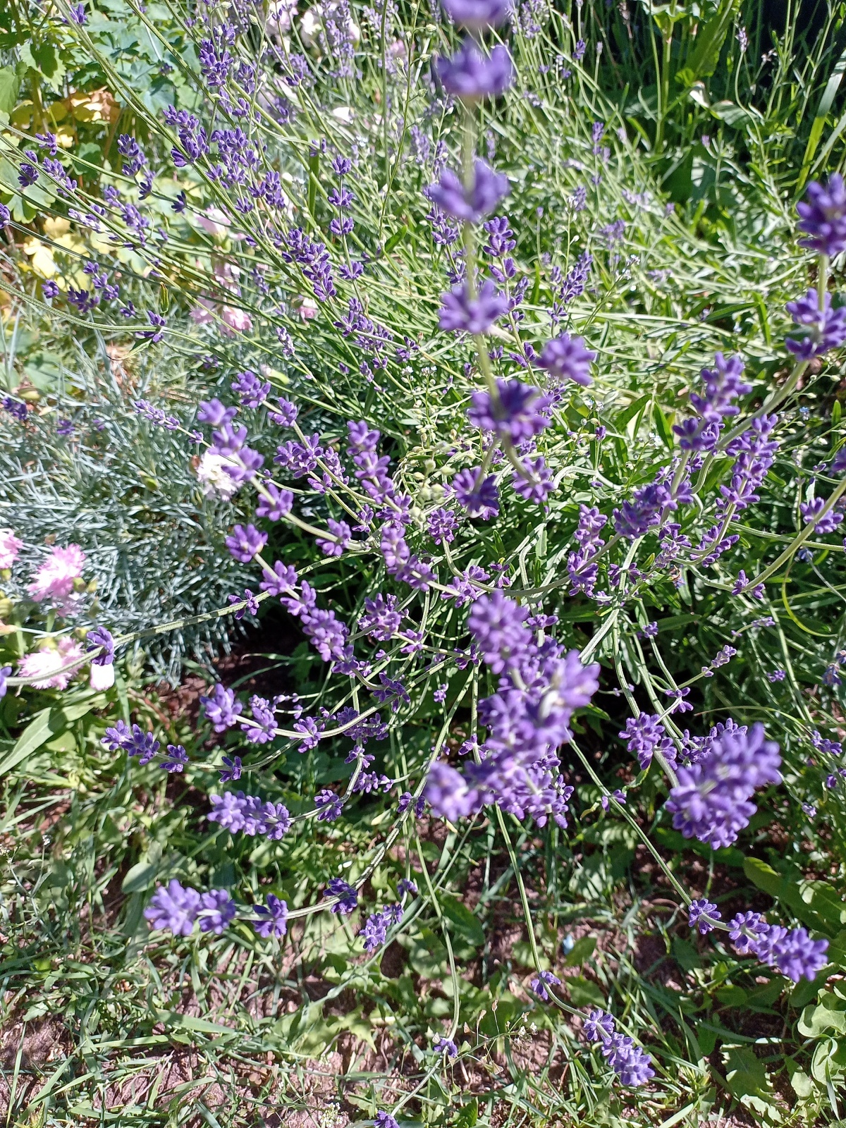 Любовь с условием или Как распознать эмоциональный шантаж?