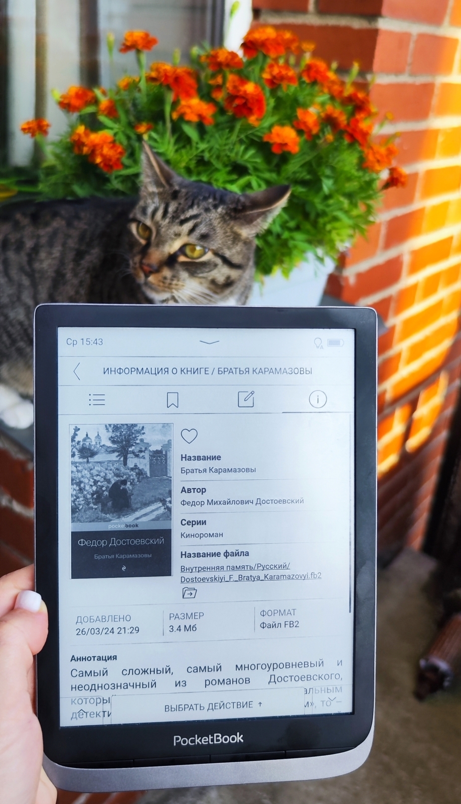 Зачем читать «Братьев Карамазовых» в 21 веке?