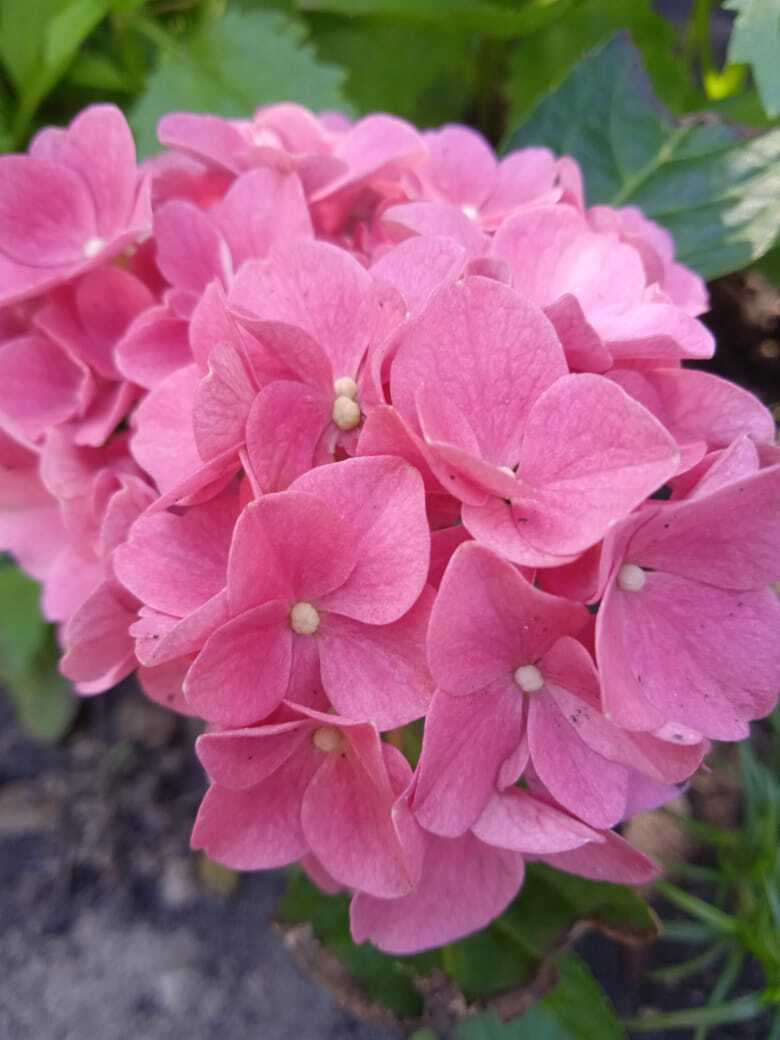 Добрая семейная традиция